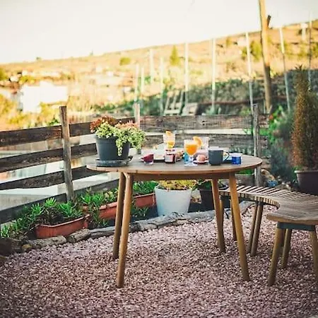 Feriehus Romantic Eco Retreat Costa Adeje (Tenerife)